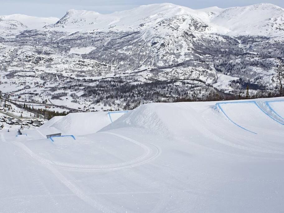 Skarsnuten Panorama 46 Hemsedal Dış mekan fotoğraf