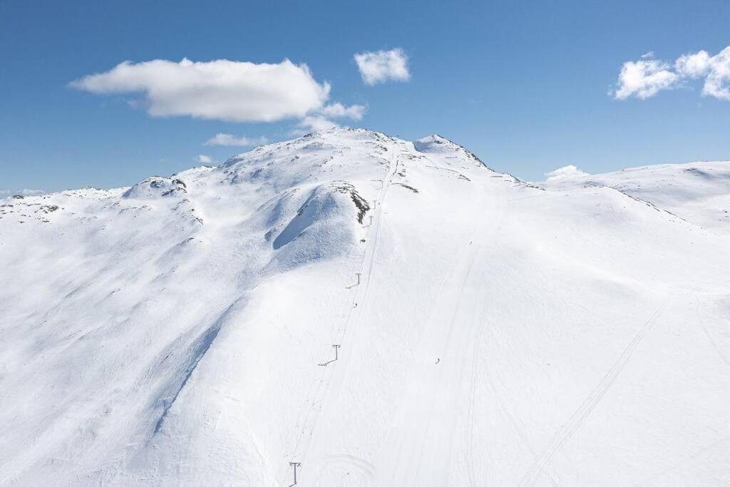 Skarsnuten Panorama 46 Hemsedal Dış mekan fotoğraf