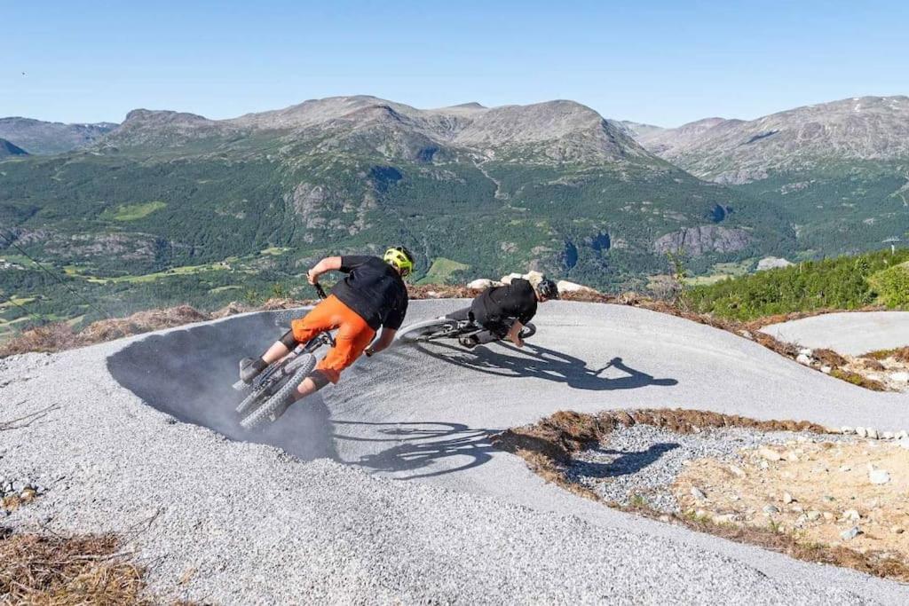 Skarsnuten Panorama 46 Hemsedal Dış mekan fotoğraf